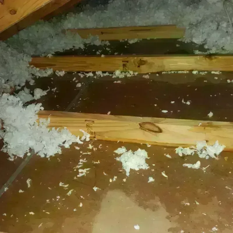 Attic Water Damage in Limestone, ME